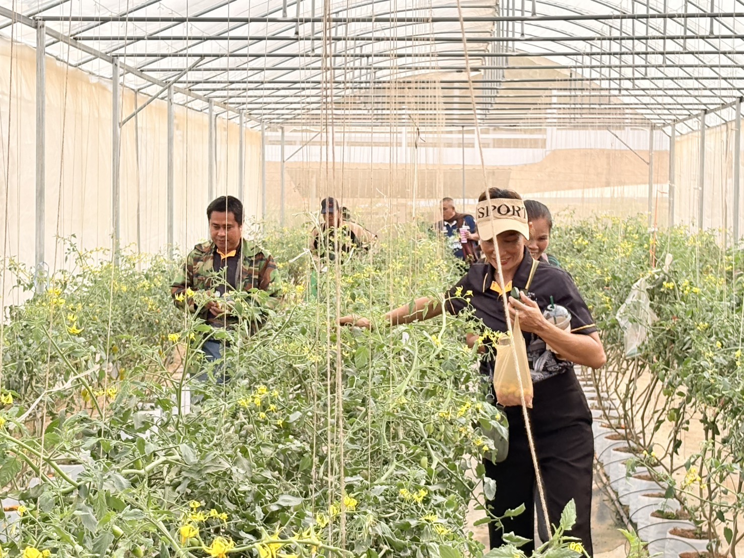 title - วันที่ 23 มกราคม 2569 นายประเสริฐ กาญจนเกียรติกุล ปฏิรูปที่ดินจังหวัดบุรีรัมย์ มอบหมายให้นายธงชัย ใจกล้า เจ้าหน้าที่ปฏิรูปที่ดิน นำเกษตรกรภายใต้โครงการพัฒนาเกษตรกรรมยั่งยืนในเขตปฏิรูปที่ดินจำนวน 11 ราย เข้าศึกษาดูงานสถานีวิจัยการเกษตรและพัฒนาโครงการหลวงโนนดินแดง